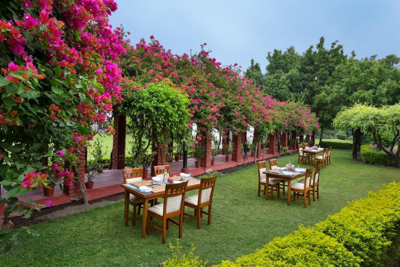 Naturoville Wellness Resort Rishikesh - Surrounded By Nature, Rooted In Wellness Doiwāla Eksteriør billede
